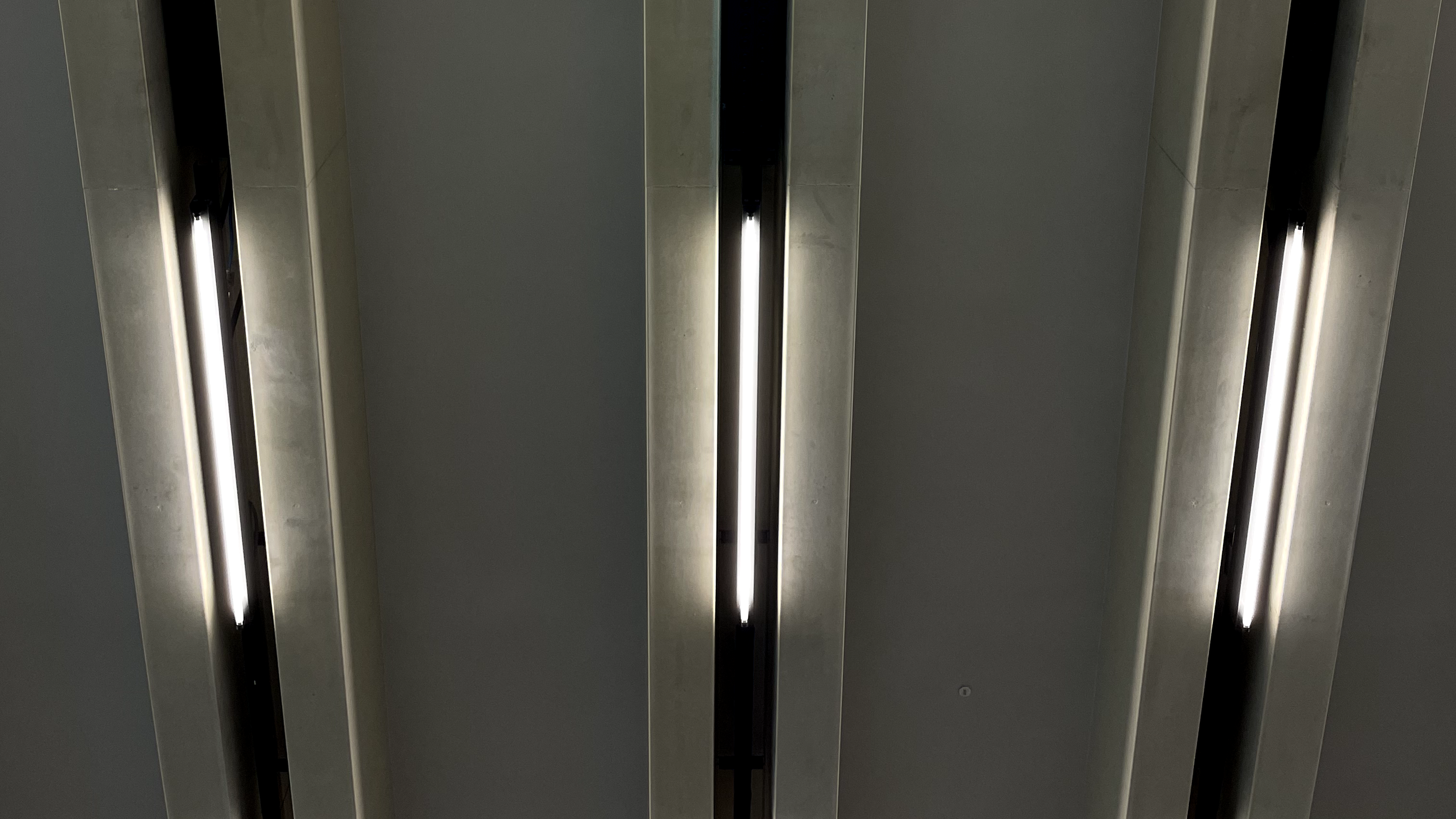 Anton Stallbörger Seemingly Insignificant